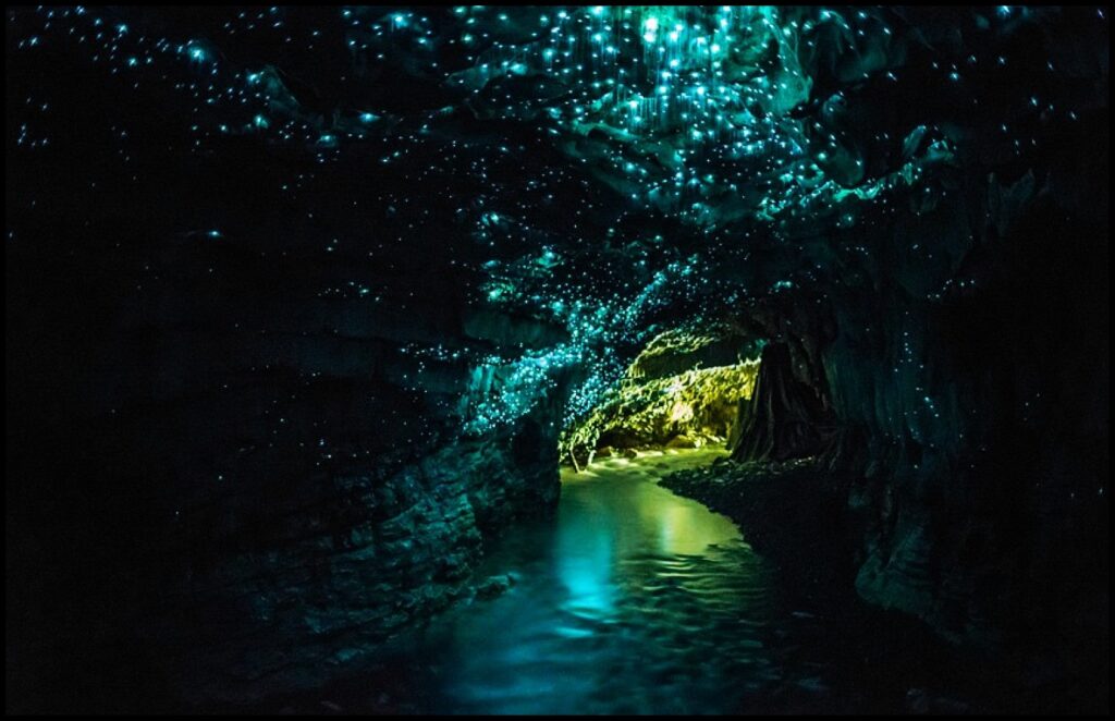 Fireflies in a cave