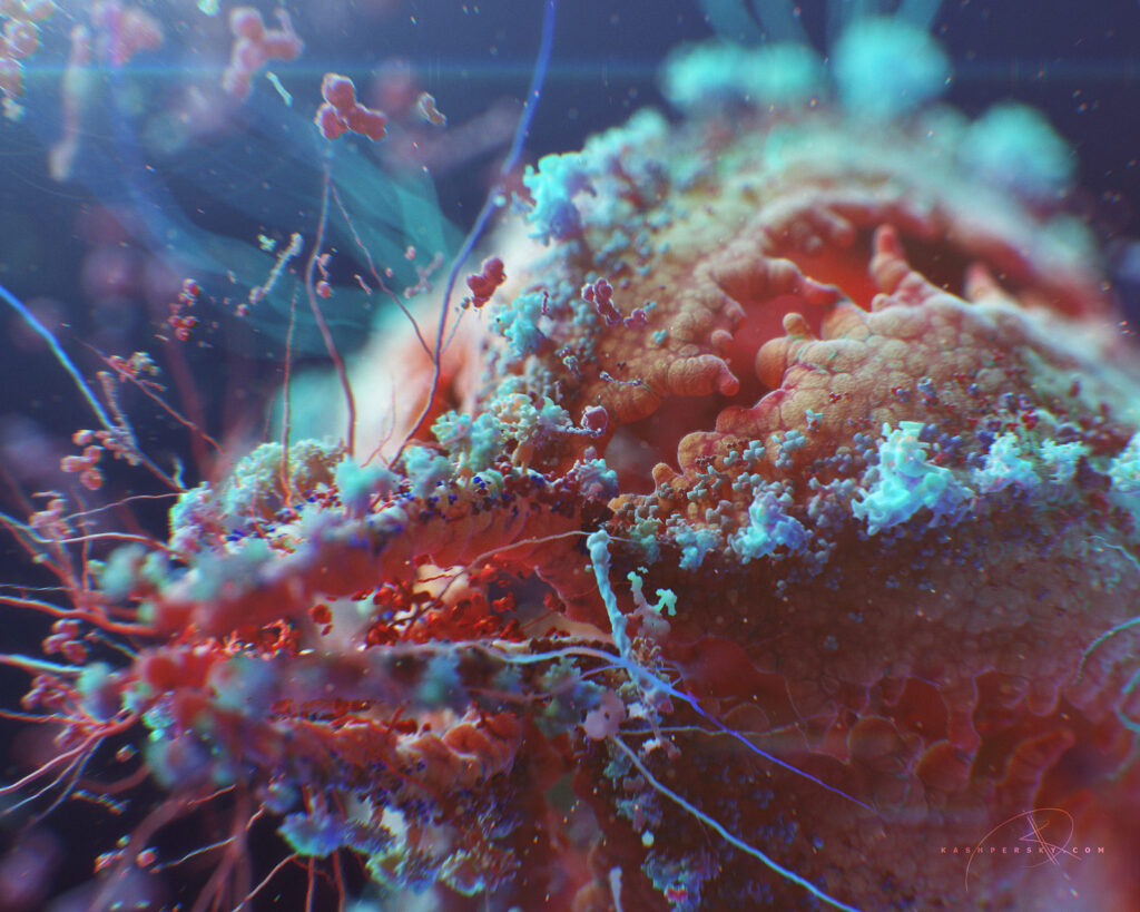 Human Immunodeficiency Virus