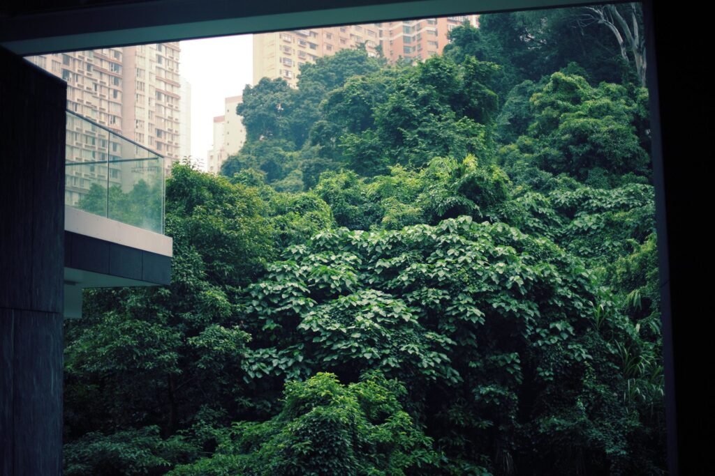 Photo nature/city