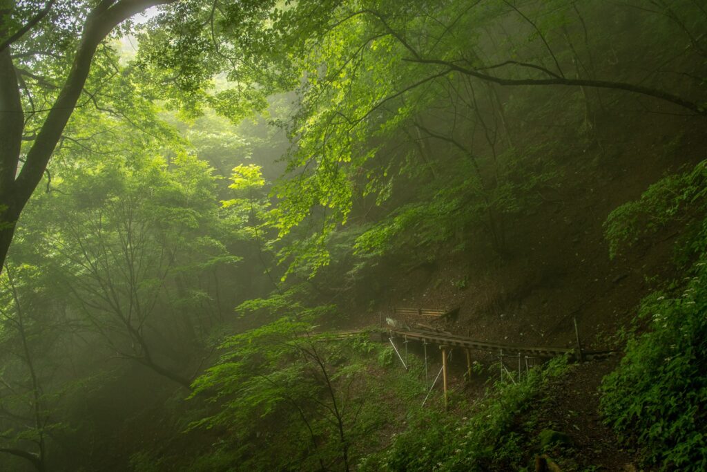 Seiya Ishibashi