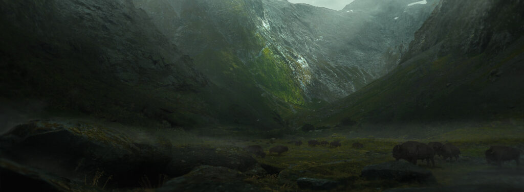 Valley