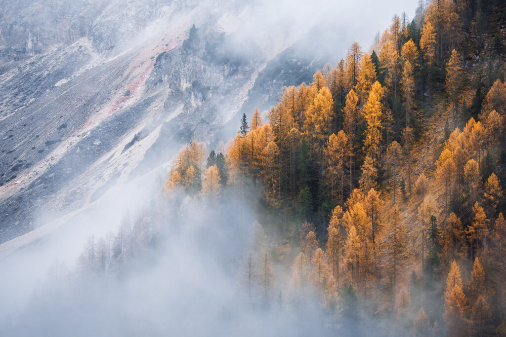 Lukas Furlan