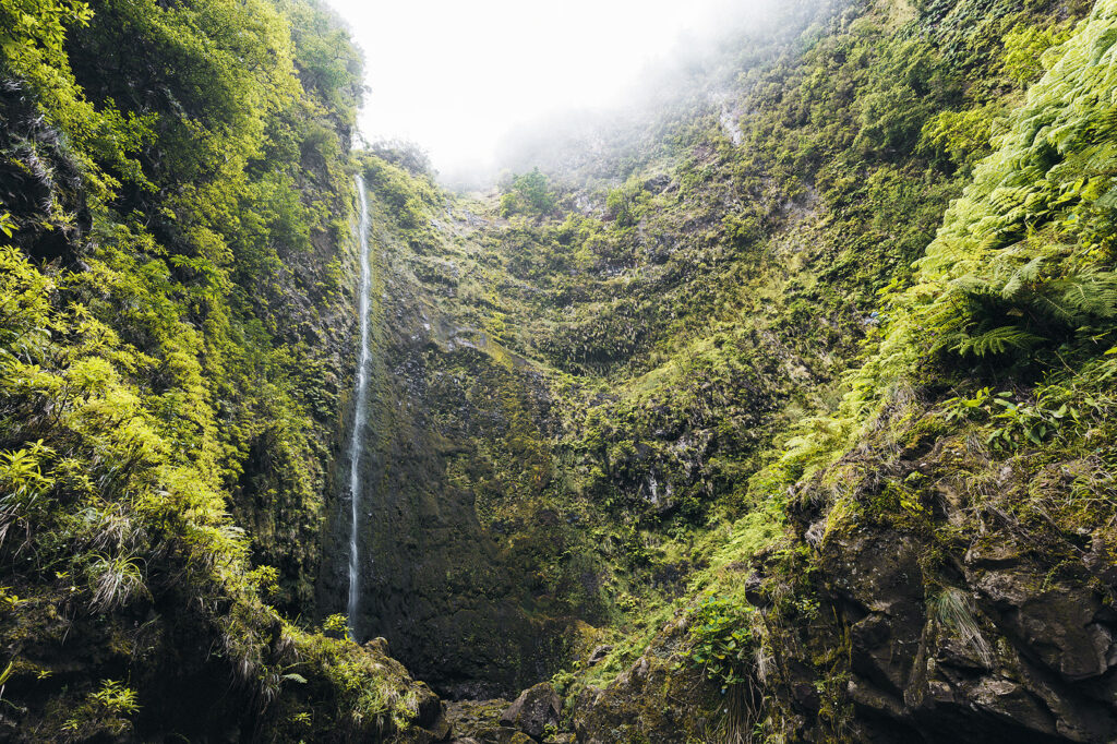 Lukas Furlan
