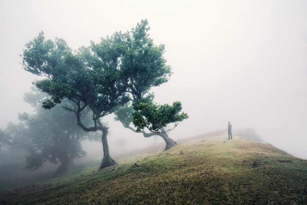 Lukas Furlan