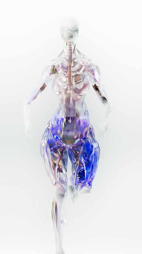 Muscle Simulation