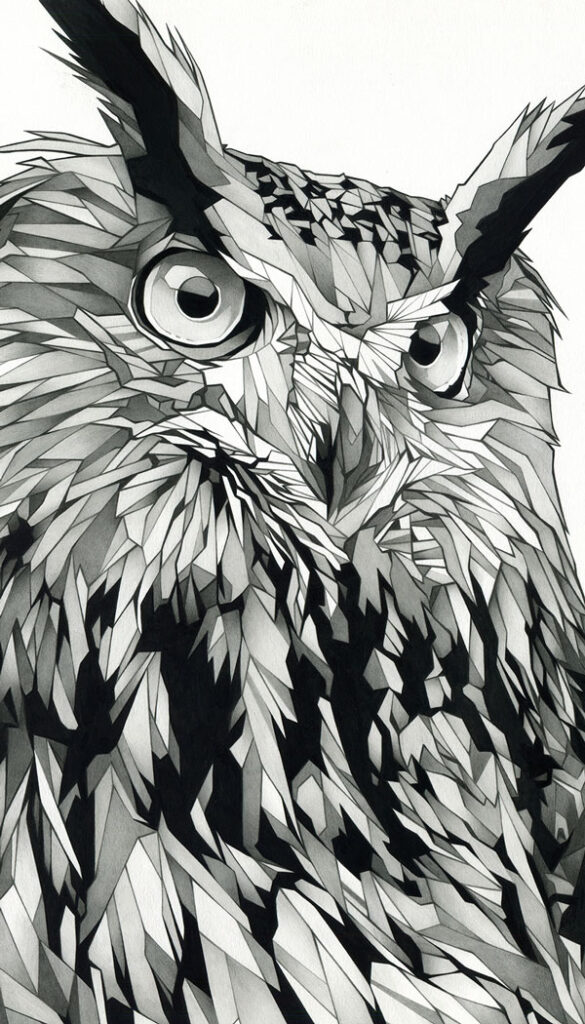 Owl by Dani Blázquez