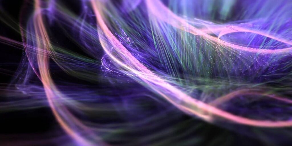NEORT | Digital Art Platform